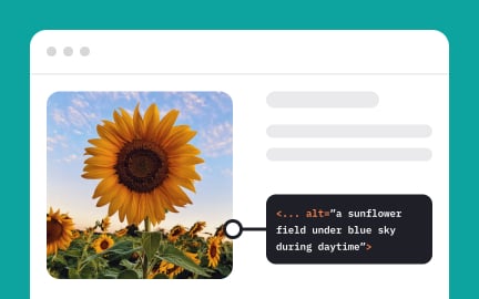 Alt text
