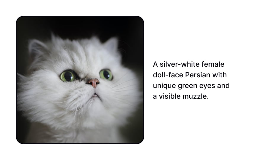 Caption accessibility