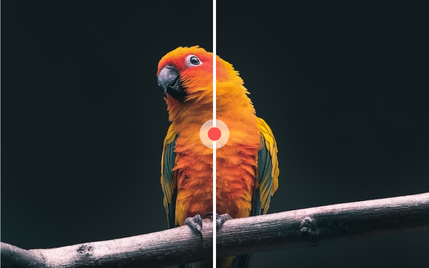Center your subject