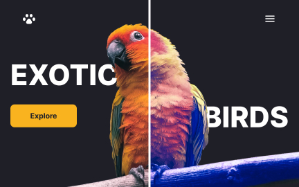 Color blindness