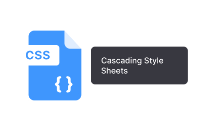 CSS