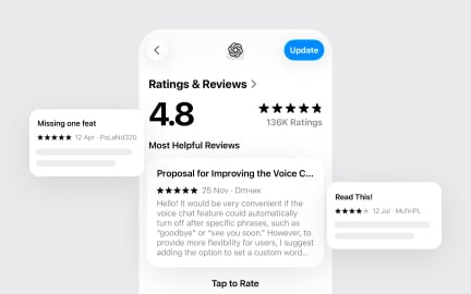Customer review mining