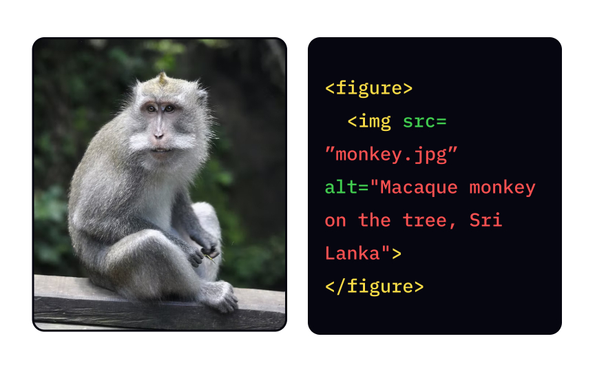 The <figure> tag