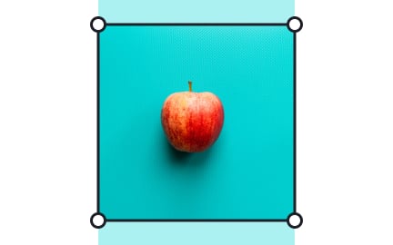 Image fill