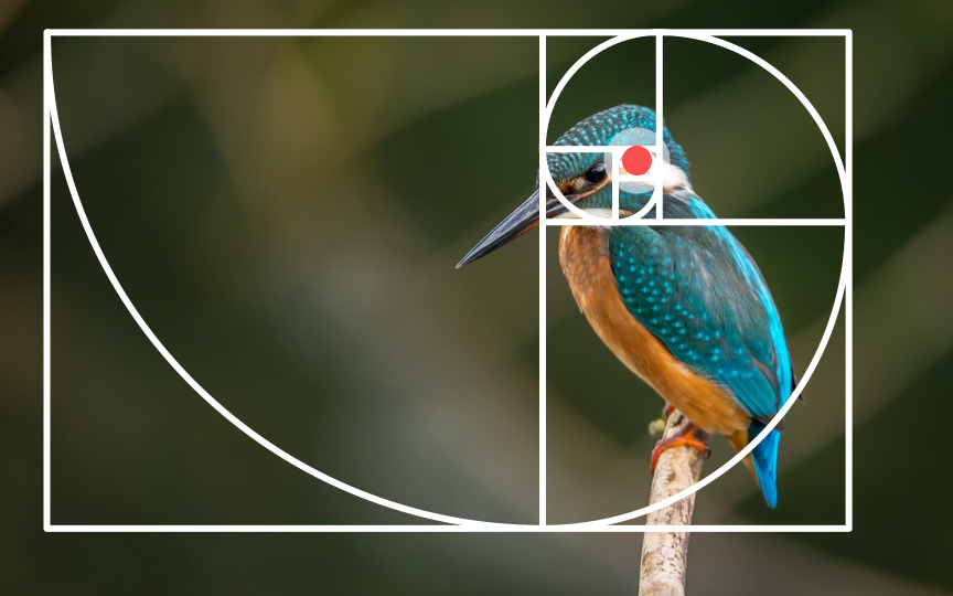 Golden ratio