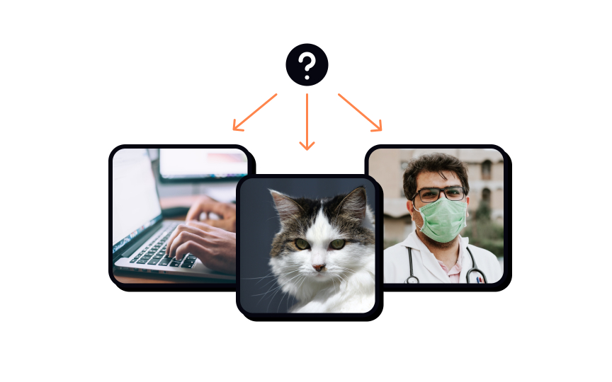 Step 1: Research and ideate