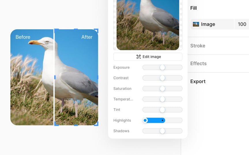 Image highlights