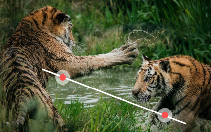 Interaction