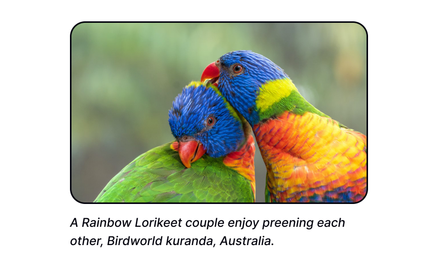 Purpose of captions