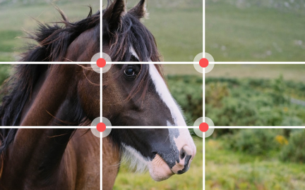 Rule of thirds