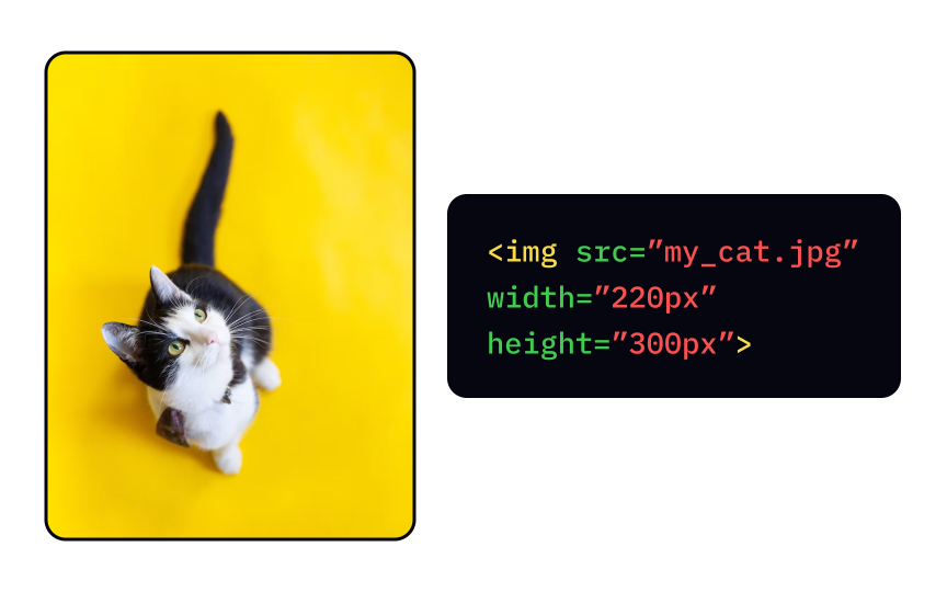 Specify the image's width & height Best Practice