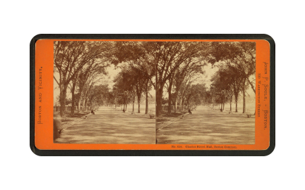 Stereoscopy