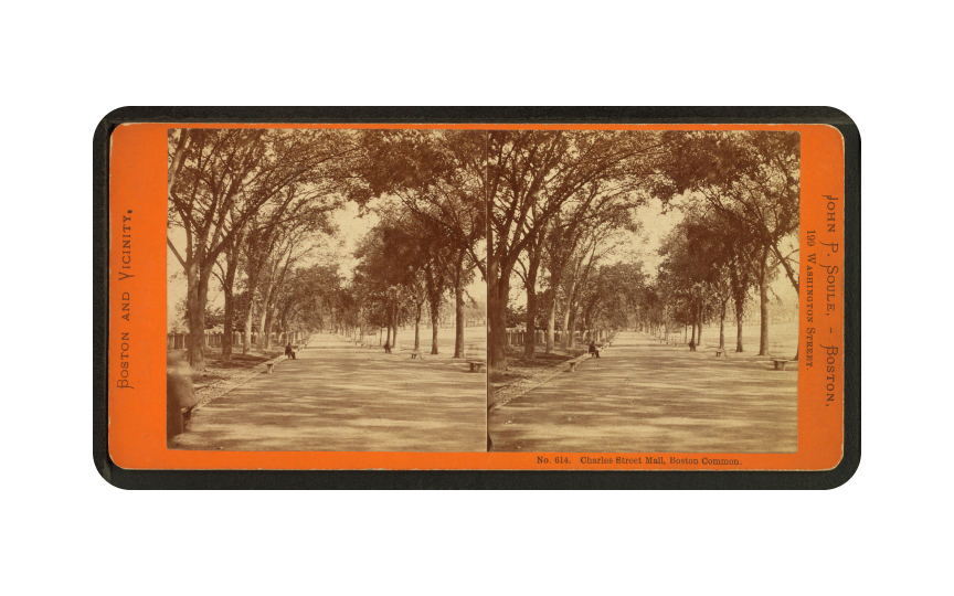 Stereoscopy