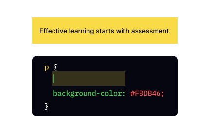 CSS padding property