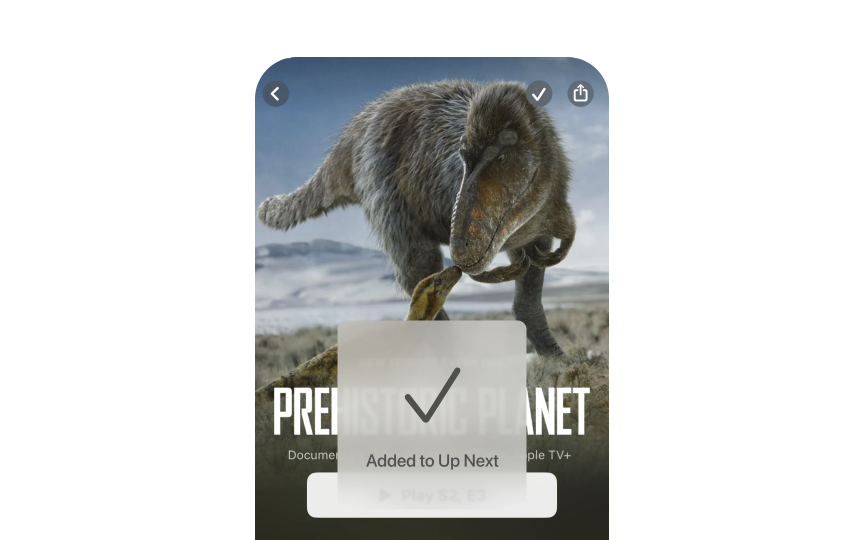 Transparency rules Bad Practice