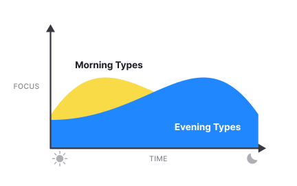 Understand your chronotype