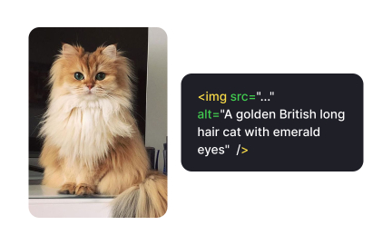 Use accurate alternative text