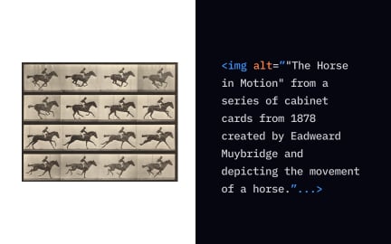 Use alternative text for images