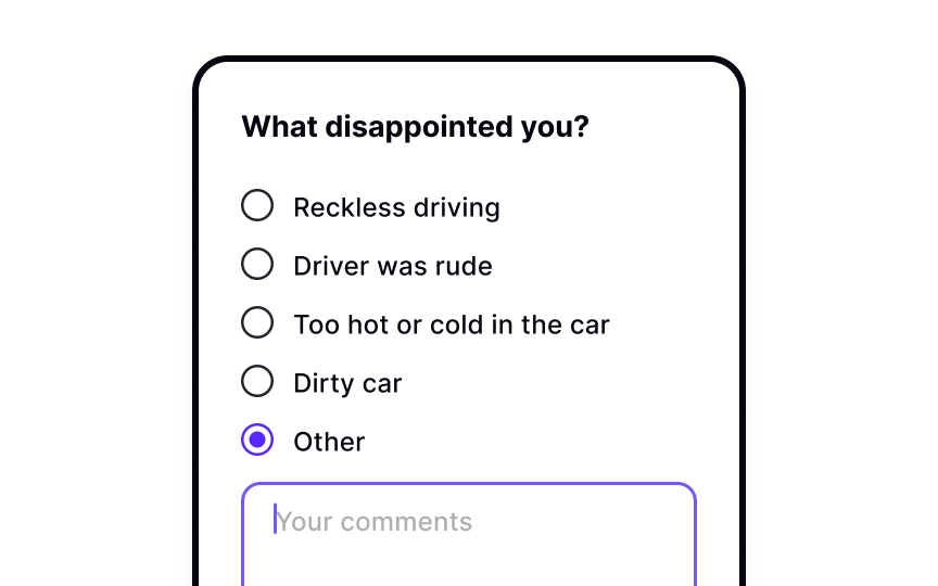 Provide an Other option Best Practice