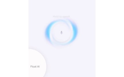 Voice interface affordances and constraints