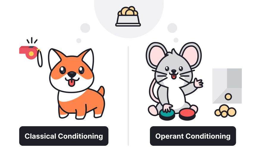 What is behaviorism?