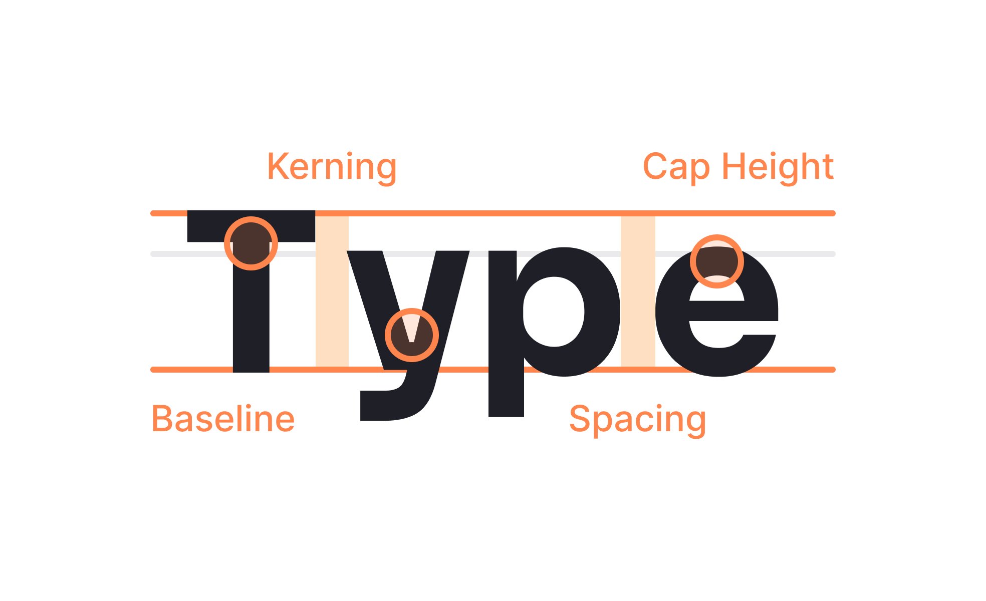 Typography