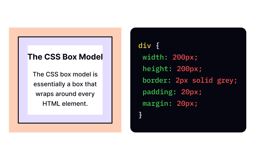 Learn CSS Box Model and its Properties with Examples