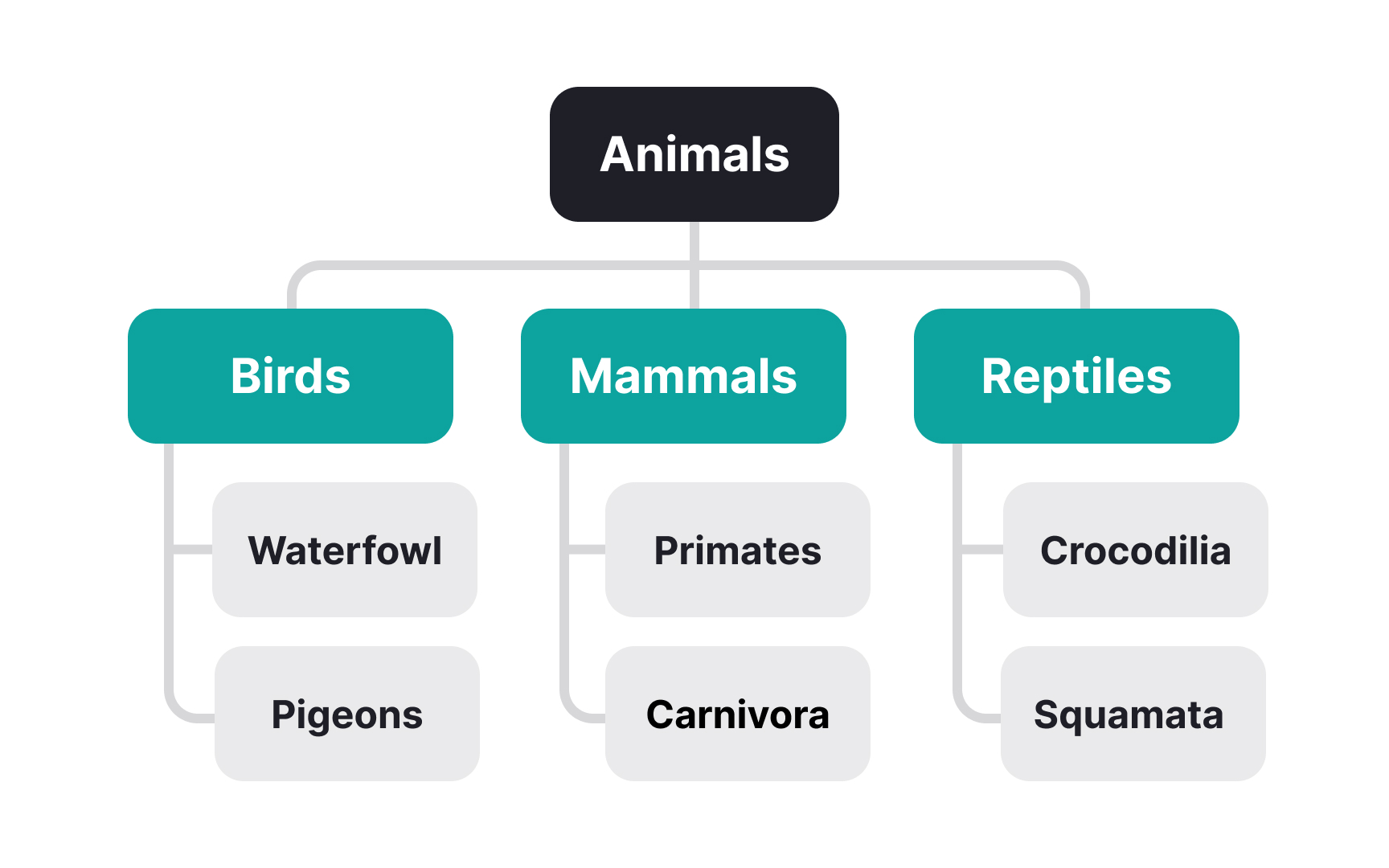 Taxonomy Lesson | Uxcel