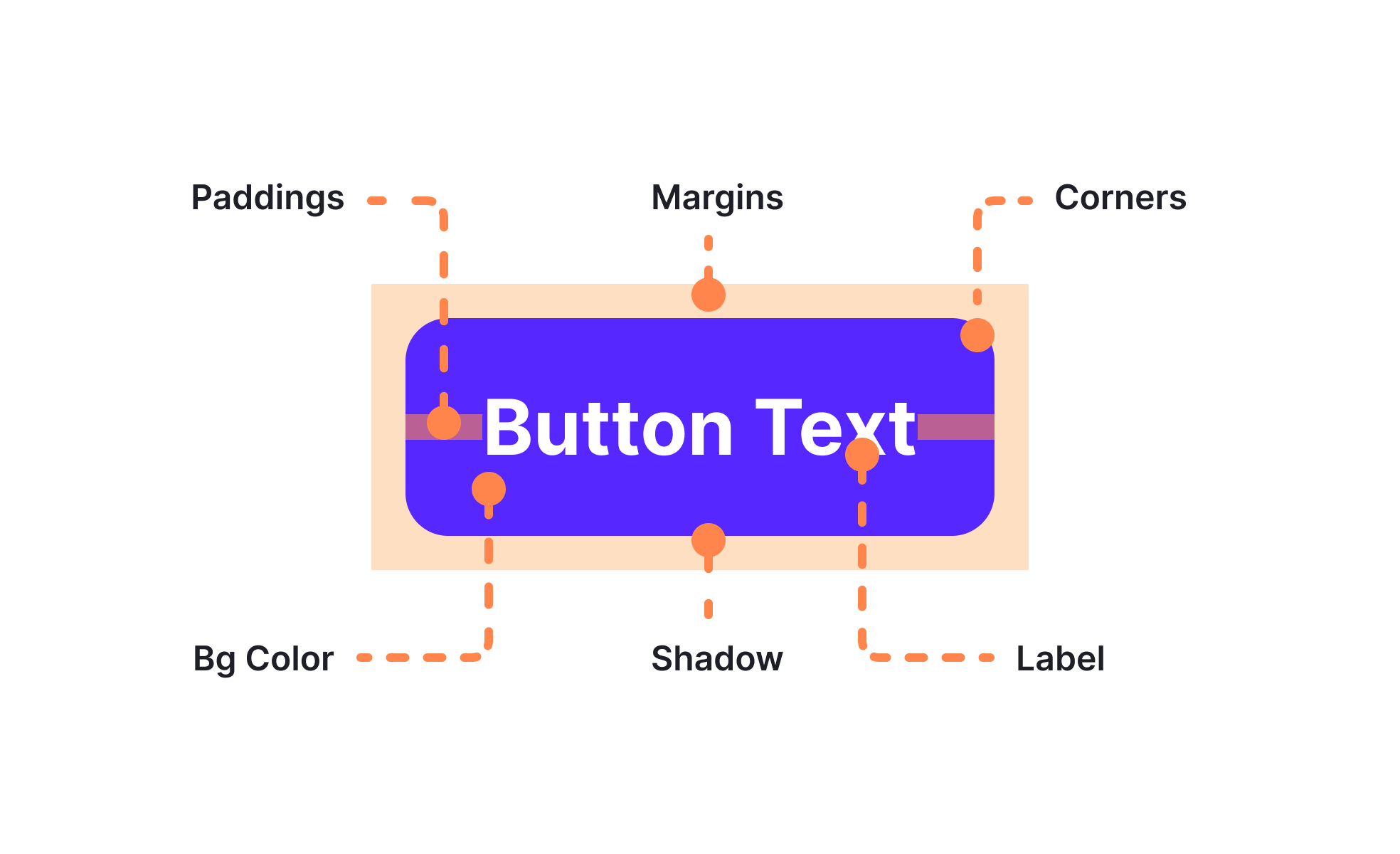 Anatomy | Uxcel