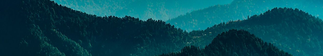 User profile cover image