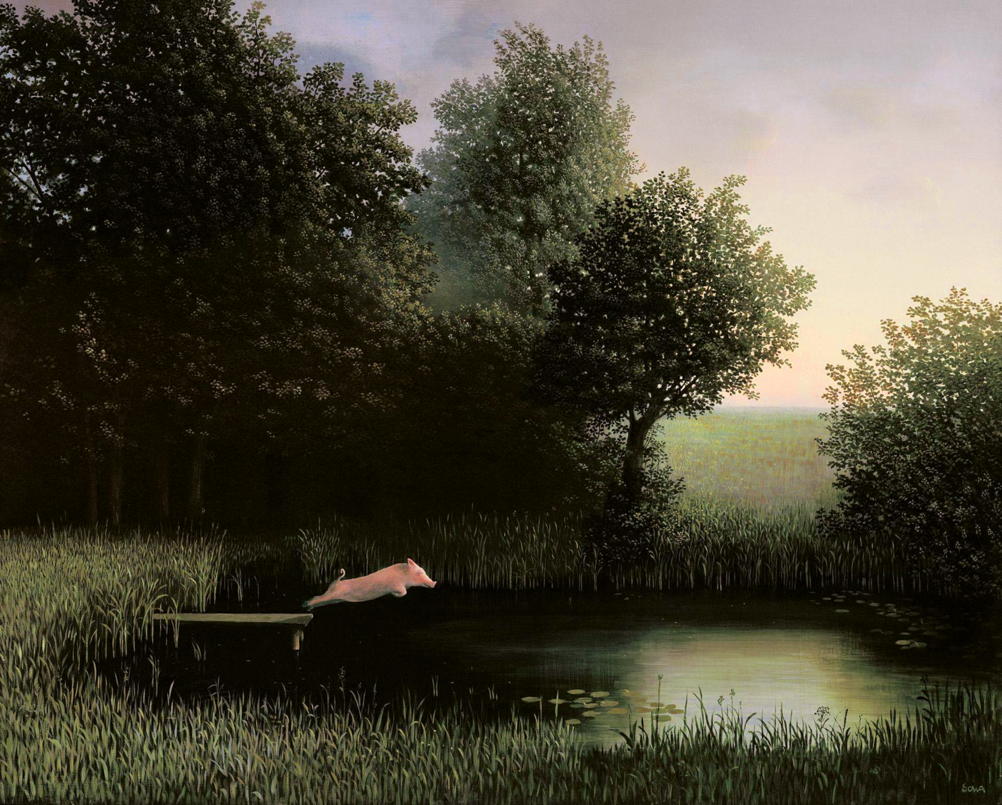 User profile cover image