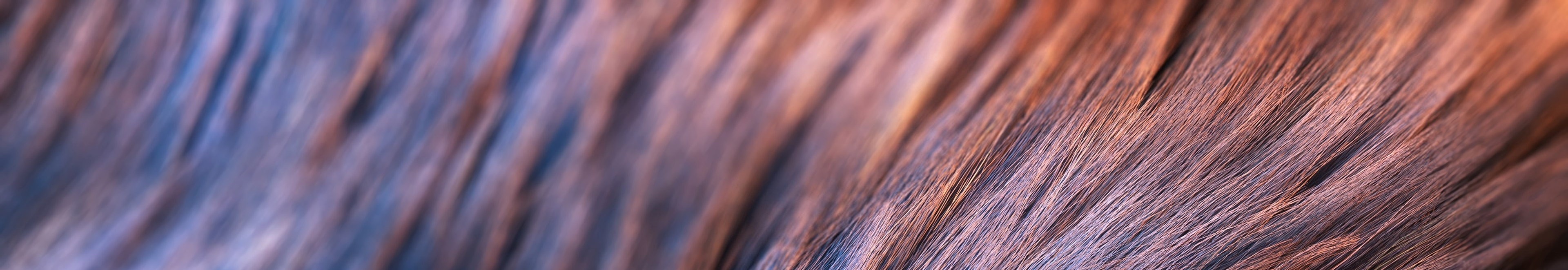 User profile cover image