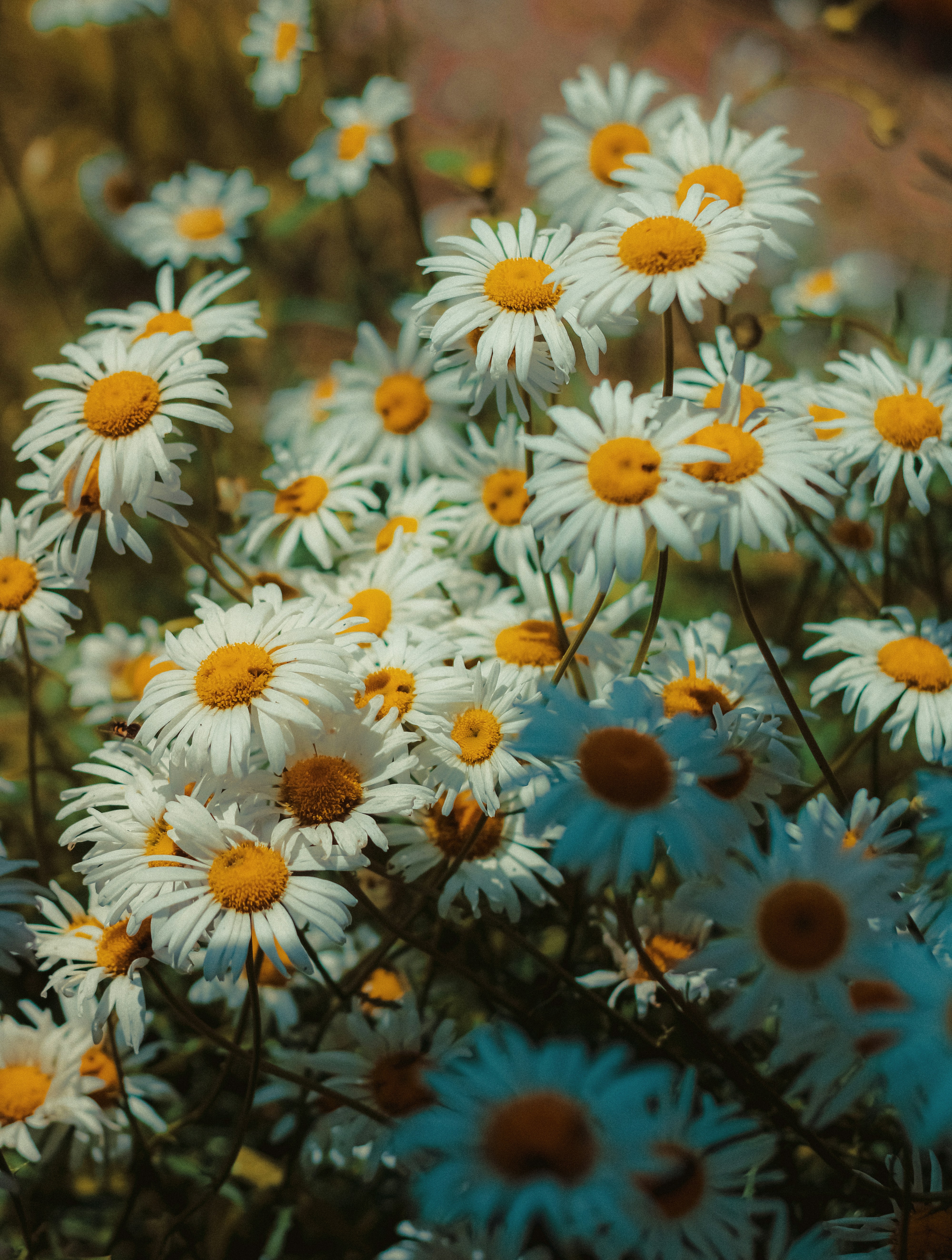User profile cover image