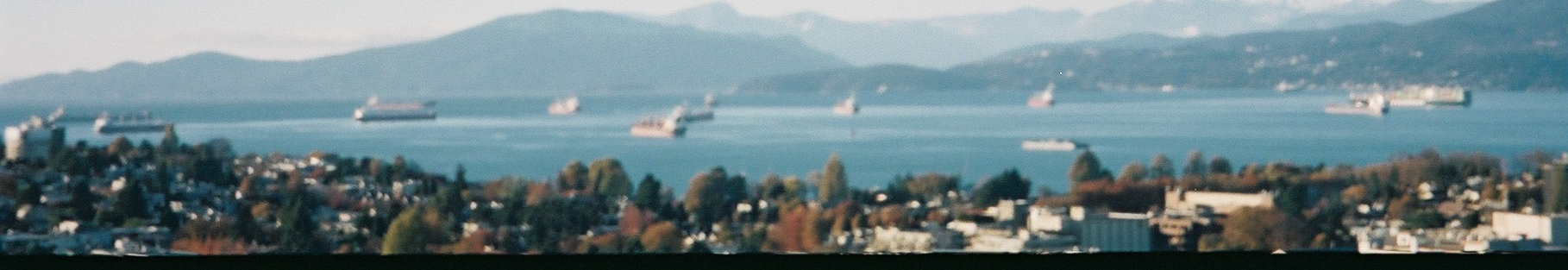 User profile cover image