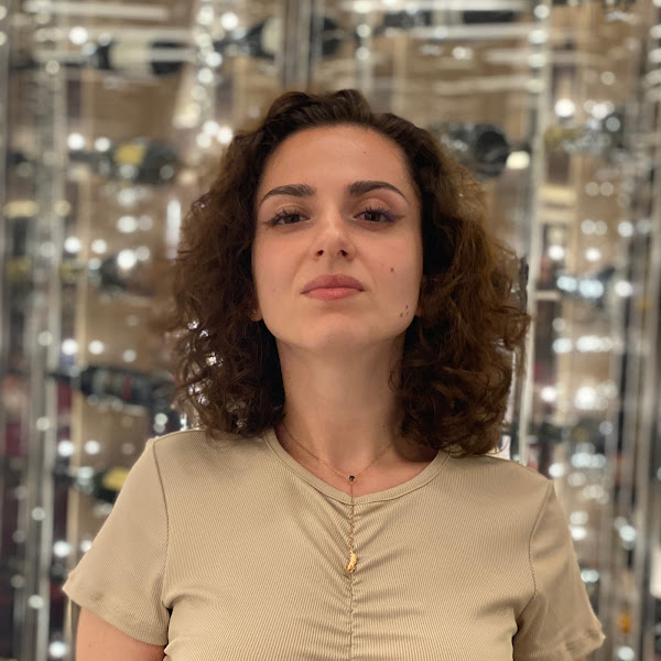 Rimma ananyan ux ui designer uxcel