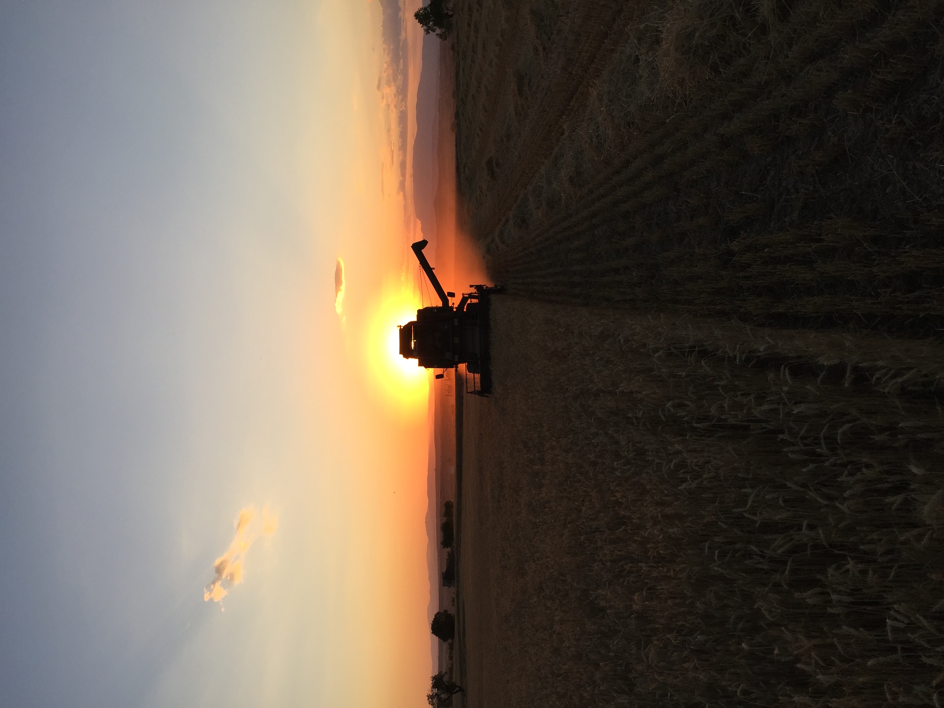 User profile cover image