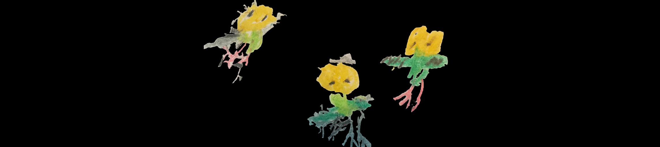 User profile cover image