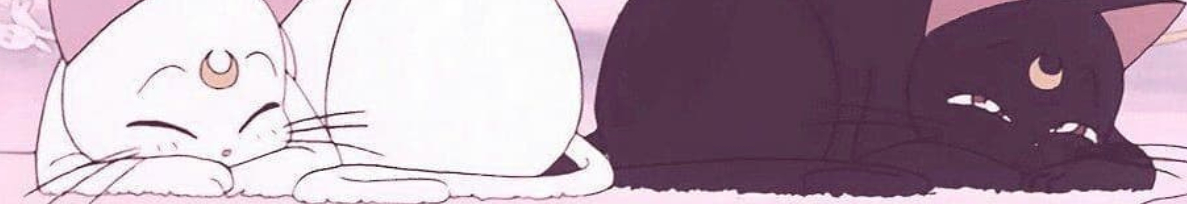 User profile cover image