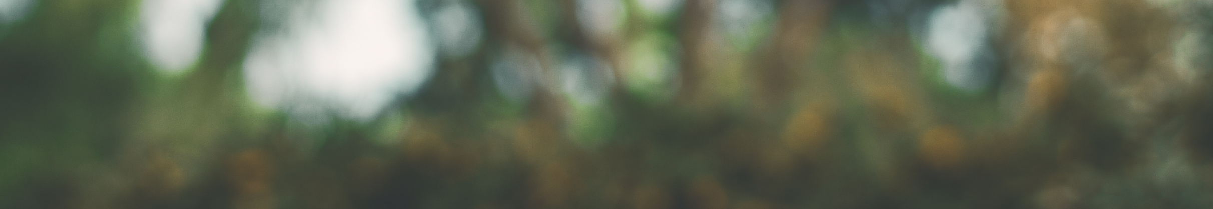 User profile cover image