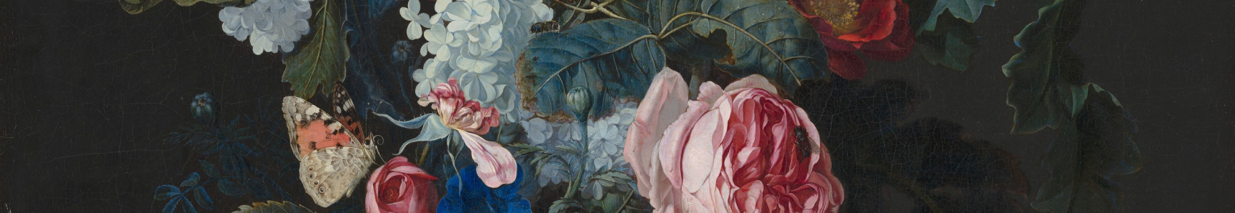 User profile cover image