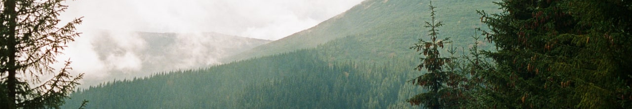 User profile cover image