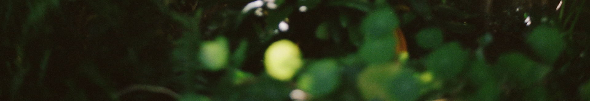 User profile cover image