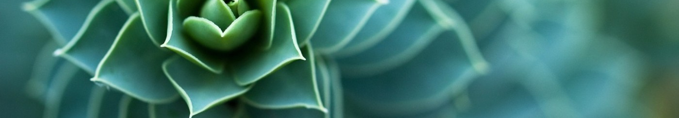 User profile cover image