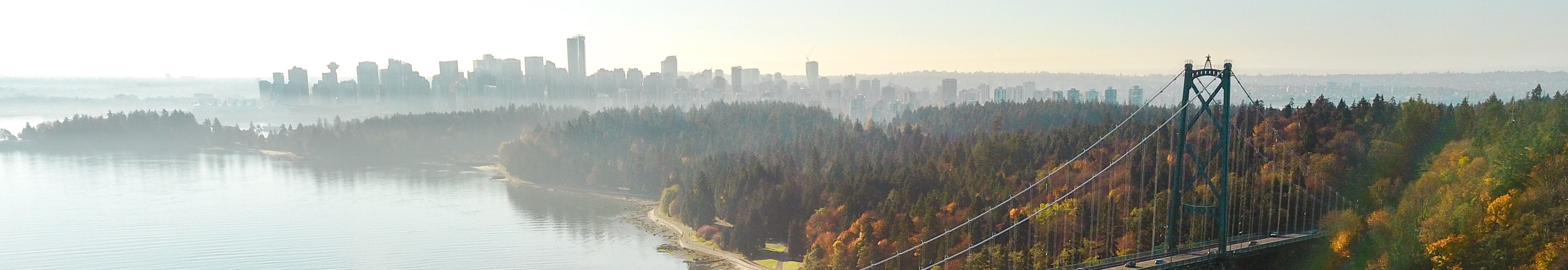 User profile cover image