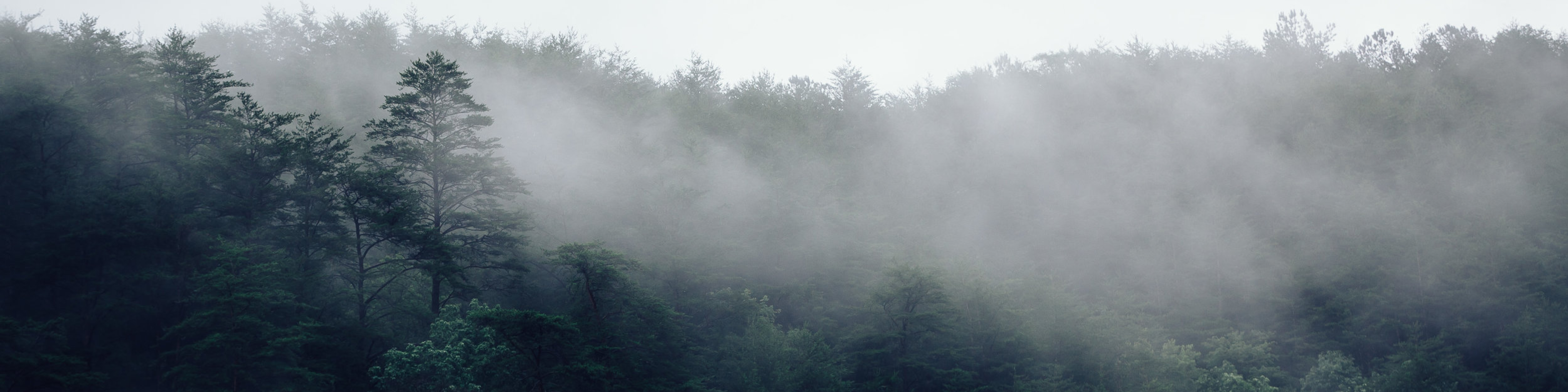 User profile cover image