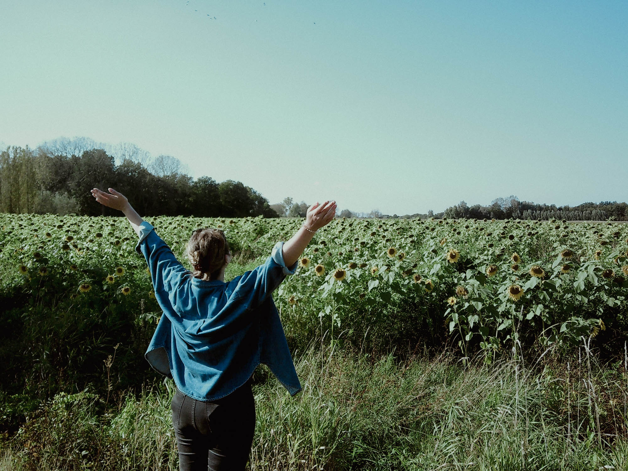 User profile cover image