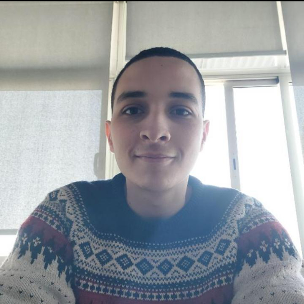 Mahmoud Ahmed Ahmed Fouad Elturky