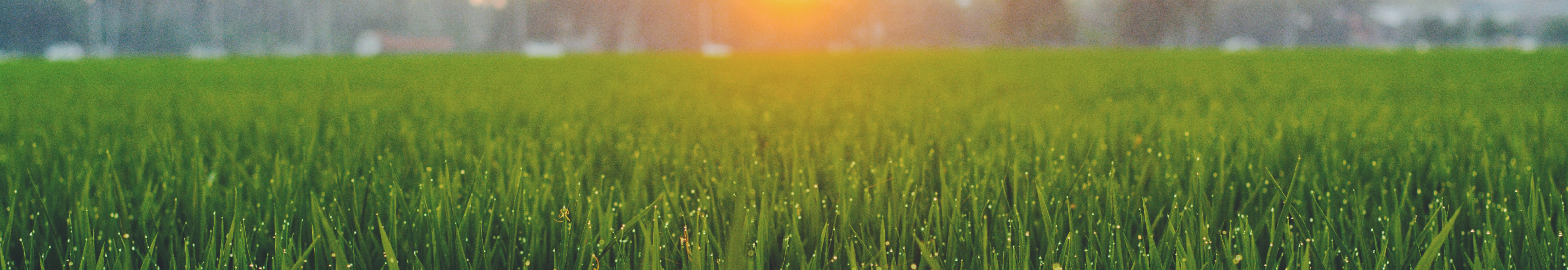 User profile cover image