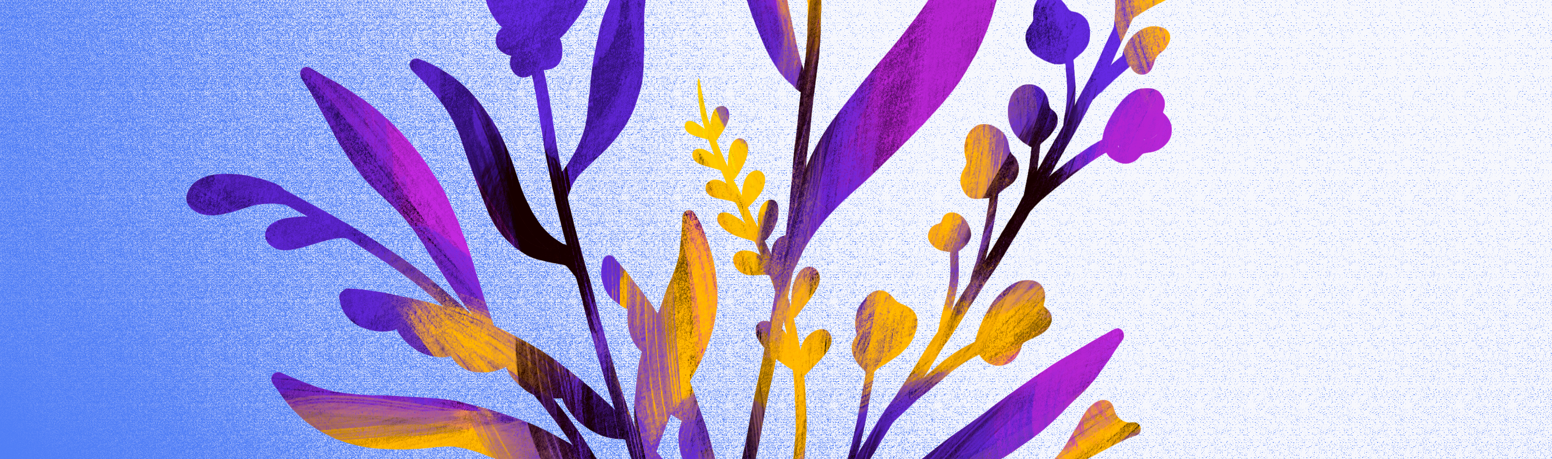 User profile cover image