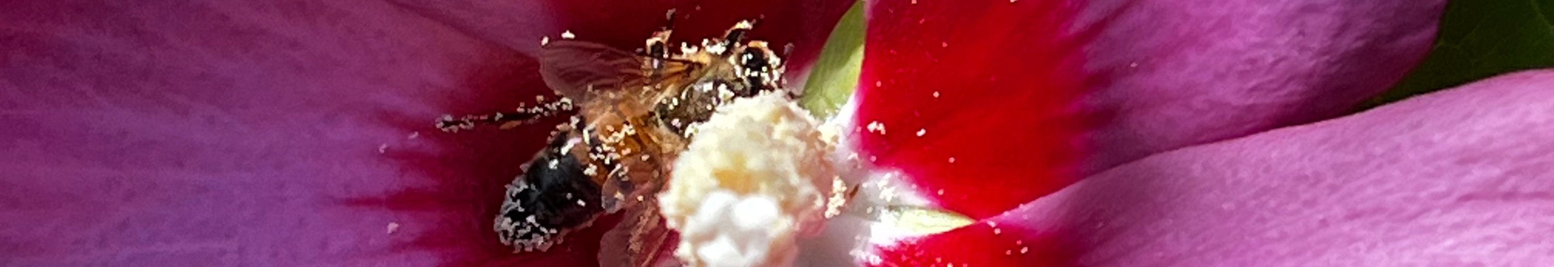 User profile cover image